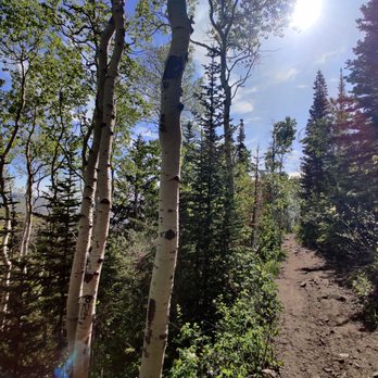 Wasatch Adventure Guides - Tours Near Me - Park City, Utah Wasatch Adventure Guides - Tours Near Me - Park City, Utah