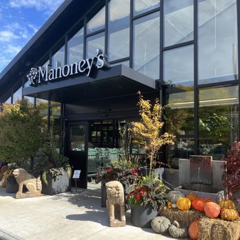 Mahoney's Garden Center - Nurseries & Gardening Near Me - Brighton, Massachusetts