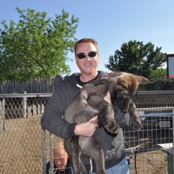 Fur-Ever Wild - Wolf & I