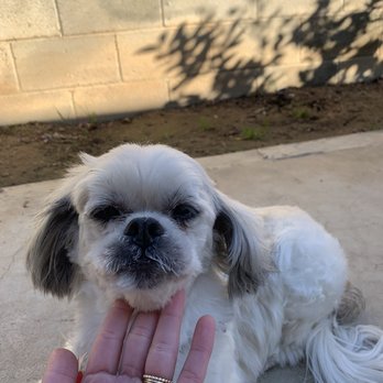Love Dog's World - Pet Stores Near Me - Riverside, California Love Dog's World - Pet Stores Near Me - Riverside, California