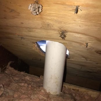 Cooper Pest Solutions - This is a hole in the attic where the animal came from - Pest Control Near Me - Hamilton, New Jersey