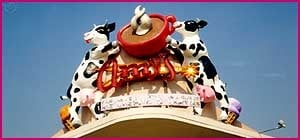 Amy's Ice Creams by null