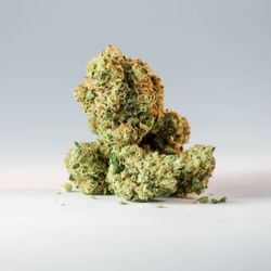 CannaBliss