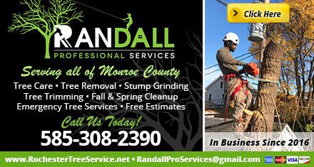 Randall Tree Services - tree service in Rochester, NY