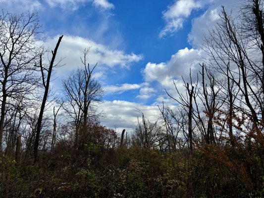 South Mountain Reservation by null