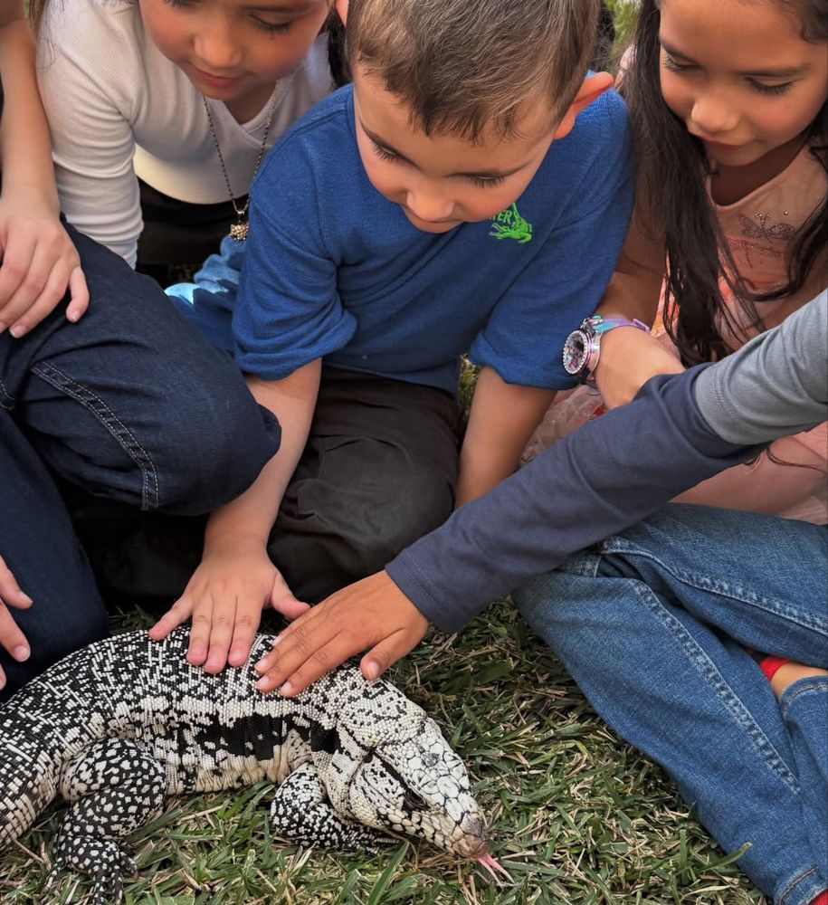 Reptile Rascals Logo