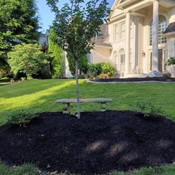 Blue Spruce Landscaping - Flower bed re-do. Removed weeds, new tree and plants, re-mulch