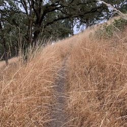 Summertime means dry grass