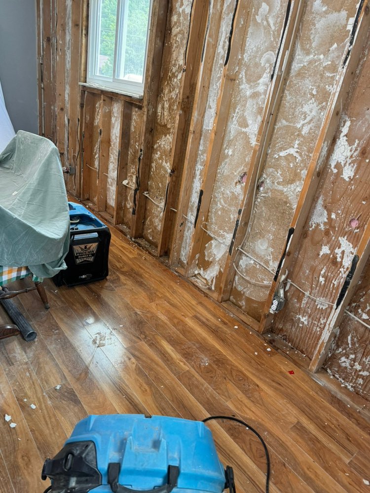 Slide of A Touch of Anne Restoration & Cleaning