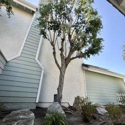 L&P Tree Service