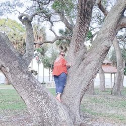 Eau Gallie Arts District - Pineapple Park