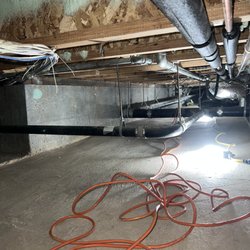 Rodent Roundup