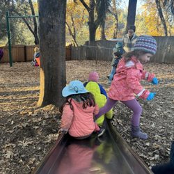 Live Oak Waldorf School