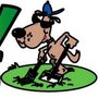 Photo of Doody Dude Dog Poop Removal Service