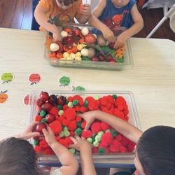 Robin's Nest Kidcare
