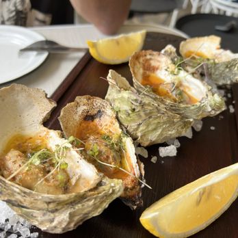 Lion Fish - Highly recommend they grilled oysters with chili oil and spices - Bars Near Me - Tijuana, BCN