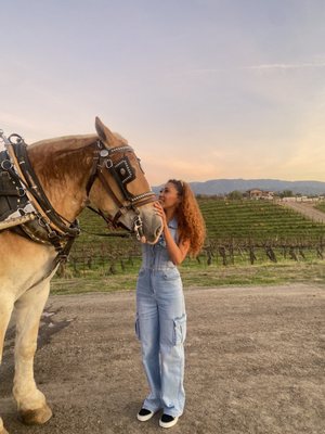 Temecula carriage company by null