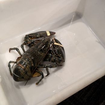 Jumbo Lobster Restaurant - Seafood Near Me - Richmond Hill, Ontario