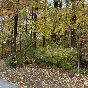 Centennial Park - Parks Near Me - Bowie, Maryland Centennial Park - Parks Near Me - Bowie, Maryland