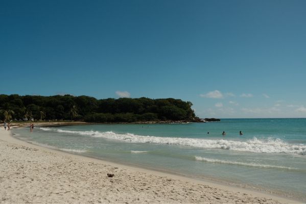 Caracas Beach by null