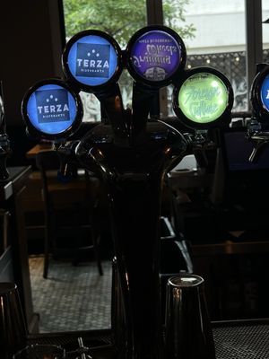 Terza by null