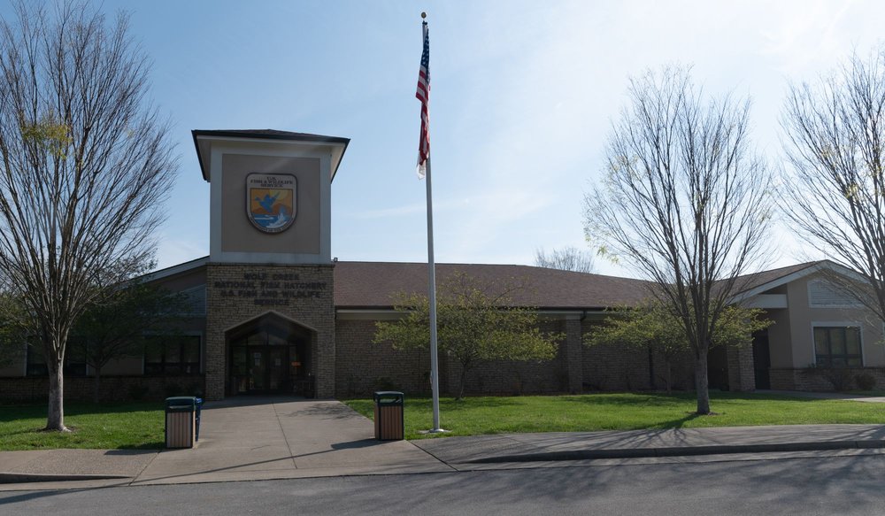 WOLF CREEK NATIONAL FISH HATCHERY Updated August 2024 10 Photos