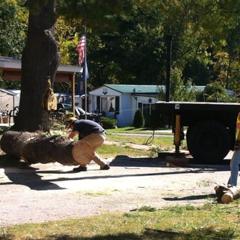 Grogan & Son Tree Service - Tree Removal Eliot, ME - Tree Services Near Me - Eliot, Maine