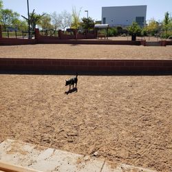 Kirtland Dog Park