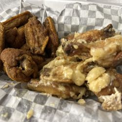 Winky's Wings