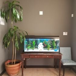 The Body Temple Premium Mobile Massage & Wellness