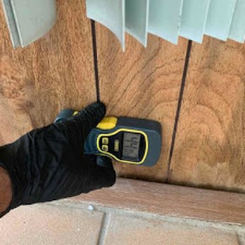 Mold Doctor Pro - Damage Restoration Near Me - Clearwater, Florida Mold Doctor Pro - Damage Restoration Near Me - Clearwater, Florida