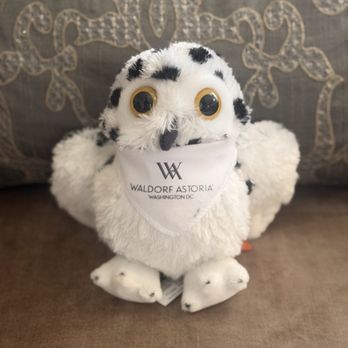 Waldorf Astoria Washington DC - WA DC plush owl - Hotels Near Me - Washington, DC, District of Columbia Waldorf Astoria Washington DC - WA DC plush owl - Hotels Near Me - Washington, DC, District of Columbia
