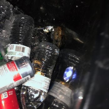Apollo's Chariots - Some type of trash or food was inside the cooler area of drinks that were hot. There was no ice or stemware provided. - Airport Shuttles Near Me - Sanford, Florida