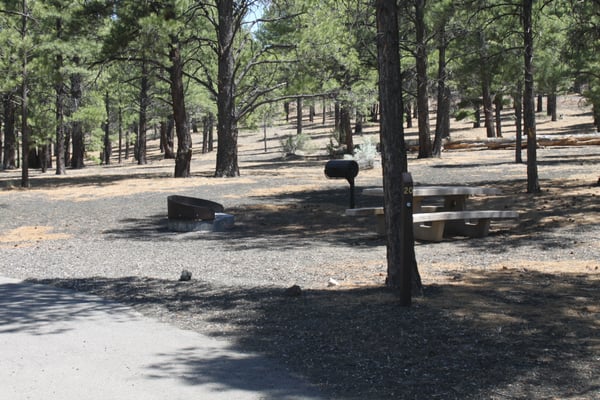 Bonito Campground by null