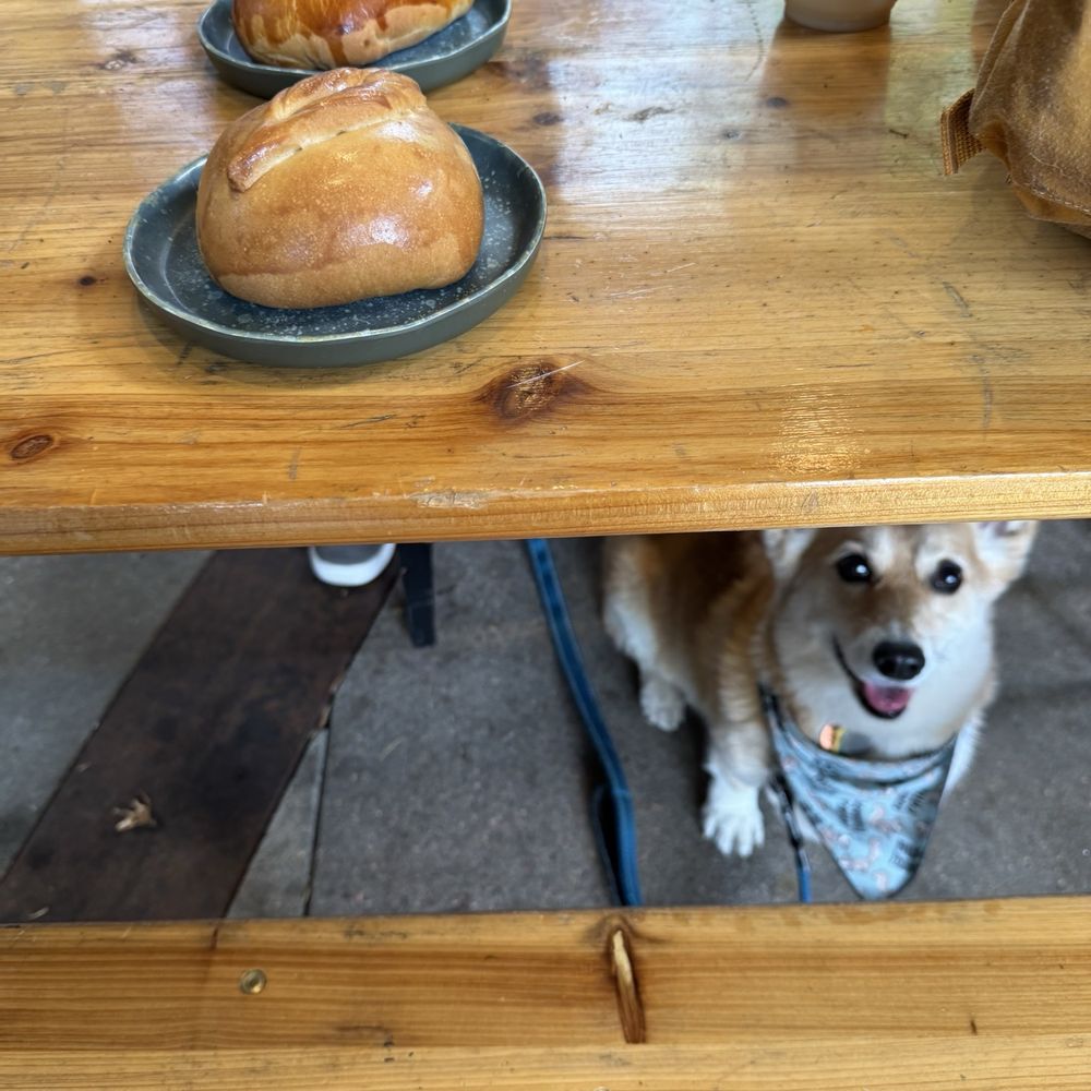 Pinoyshki Bakery & Cafe - Outdoor seating - Bakeries Near Me - Seattle, Washington Pinoyshki Bakery & Cafe - Outdoor seating - Bakeries Near Me - Seattle, Washington