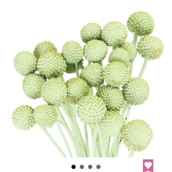 Fifty Flowers - Color I ordered and they said after shipped wrong they couldn't get replacement in time for my baby shower - Floral Designers Near Me Fifty Flowers - Color I ordered and they said after shipped wrong they couldn't get replacement in time for my baby shower - Floral Designers Near Me