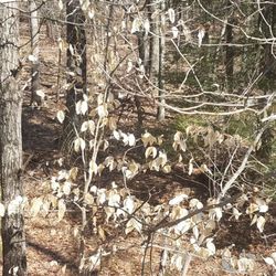 Farmington Canal Heritage Trail