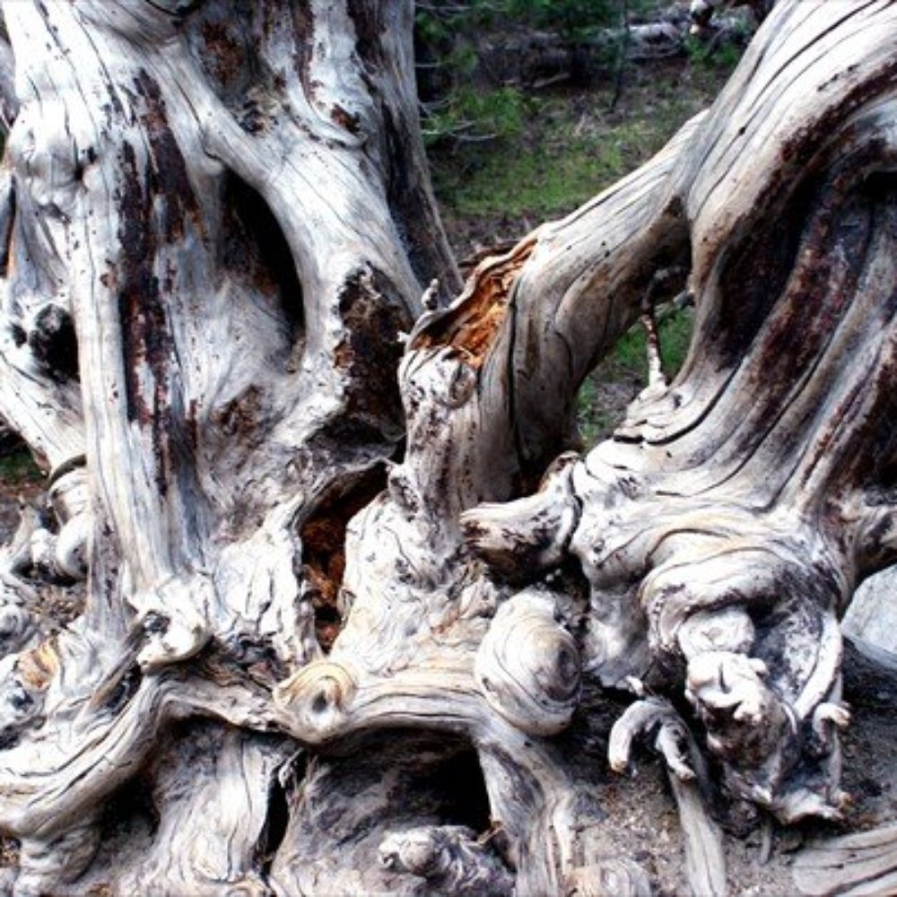 Devil's Postpile National Monument - Devil's Postpile - Landmarks & Historical Buildings Near Me - Mammoth Lakes, California Devil's Postpile National Monument - Devil's Postpile - Landmarks & Historical Buildings Near Me - Mammoth Lakes, California