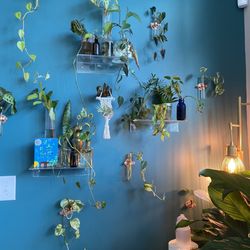 Roadside Blooms - Display wall