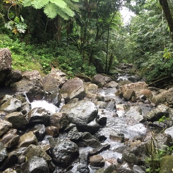 El Yunque Rainforest - Hiking Near Me - Luquillo, Puerto Rico El Yunque Rainforest - Hiking Near Me - Luquillo, Puerto Rico