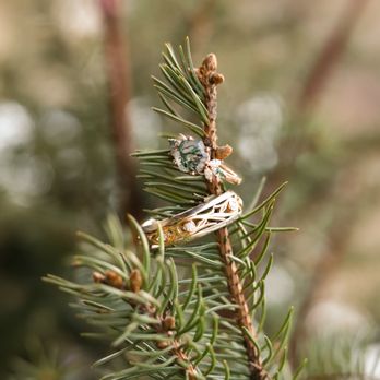 Wild Vines Photography - Wedding/Elopement photography - Session Photography Near Me