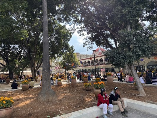 Zócalo de la Ciudad de Oaxaca (Plaza de La Constitución) by null