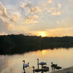 Upper Charles River Trail