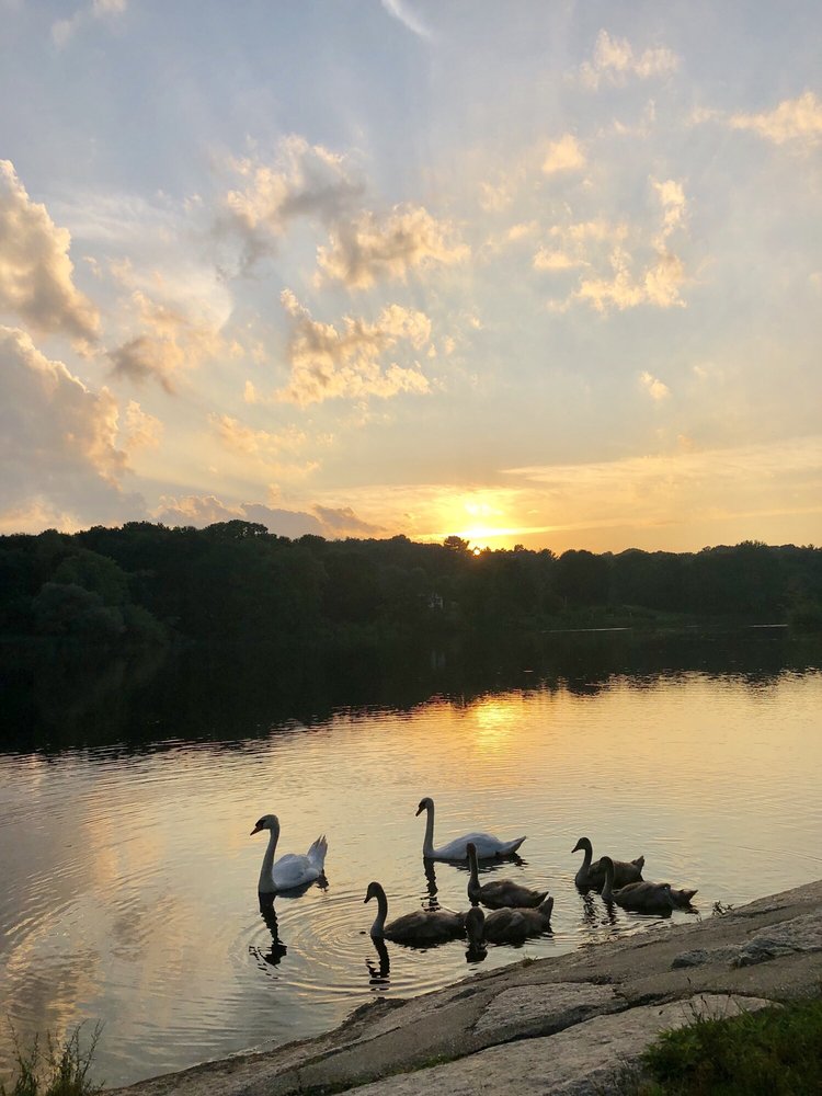Upper Charles River Trail Image
