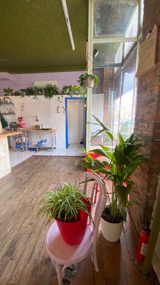 Early Yves Cafe by null