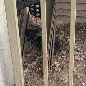 Bayview Tower - Pigeon nest - Apartments Near Me - National City, California Bayview Tower - Pigeon nest - Apartments Near Me - National City, California