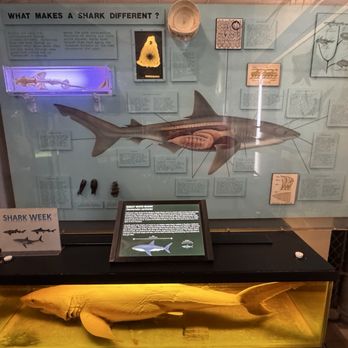 Cabrillo Marine Aquarium - Aquariums Near Me - San Pedro, California