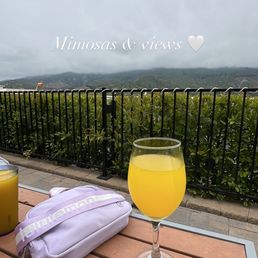 Mimosa, waiting for our food Mimosa, waiting for our food