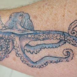 Hellcat Tattoo - Octopus