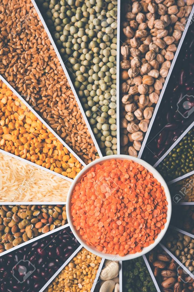 ALL INDIA GROCERY & MOVIES Updated September 2024 4245 23 Avenue NW, Edmonton, Alberta